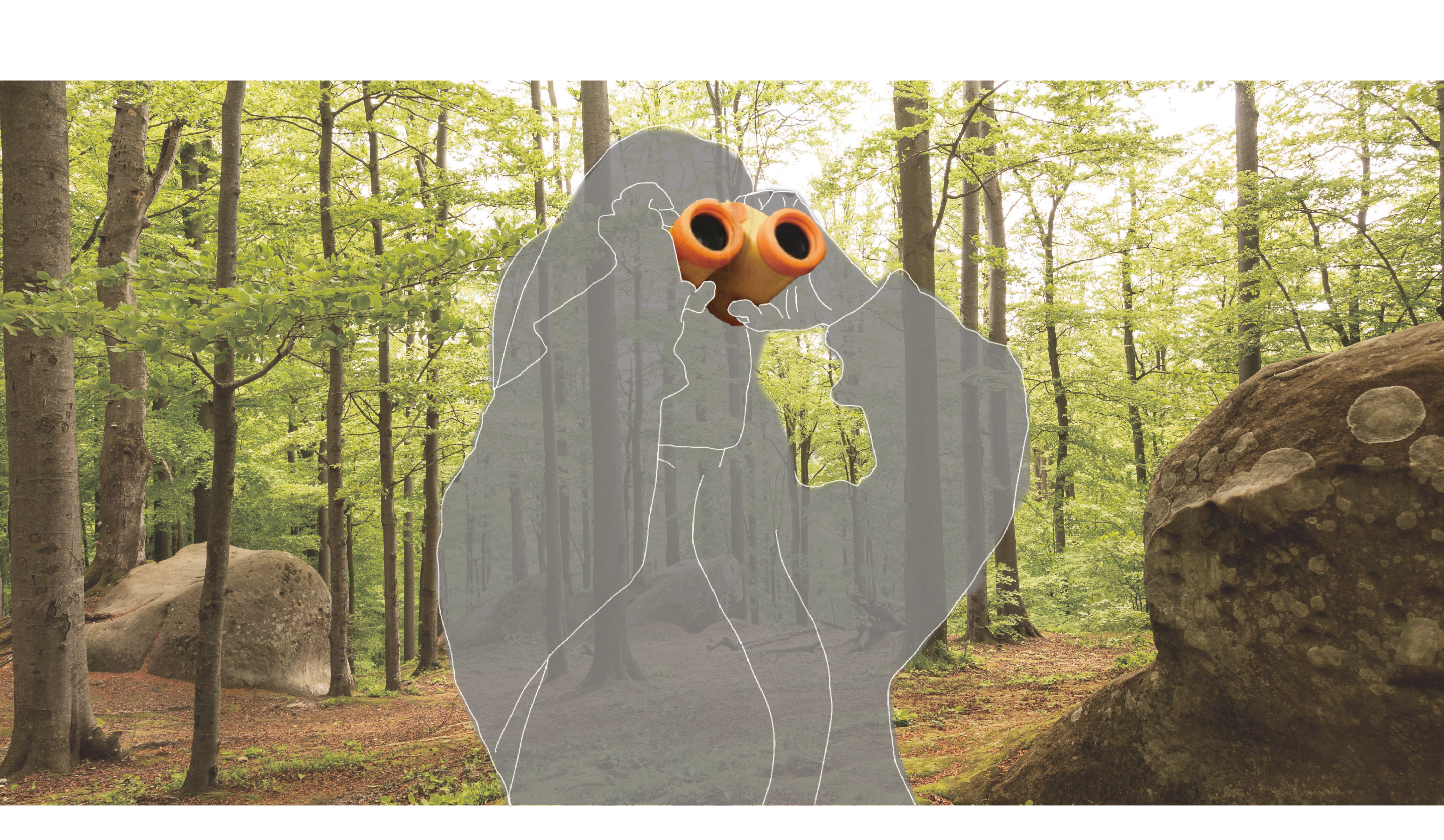 AI_bird_watching_for_children